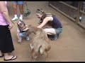Cadence and Her People at Zoo Atlanta