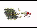 The basics of magnetism for \