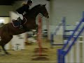 Kouros De Bremoy [ winter bsja mix ]