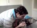 Kitchen Nightmares: Port Macquarie