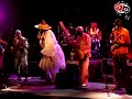 Djumbai Jazz - 1 (live)