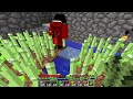 Skyblock Survival Ep. 25 
