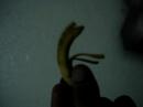 Small banana