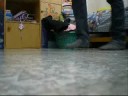 ht gurl shuffling ht gurl shuffling