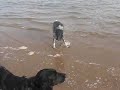 Roanhead beach 1