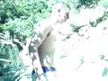 cliff jumping cliff jumping
