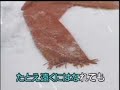北の蛍 森　進一   [台灣許仙唱]