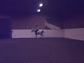 Dressage / Vasaria 9-9