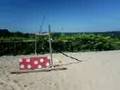 jump 2 napal