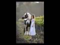 Toadstool Farm's Horses-Friesians, Gypsy Cobs, Fells