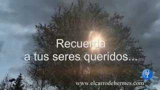 MI REFLEXIÓN PARA HOY