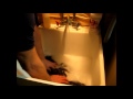Sports Wash Cleans Dri Fit Naturally