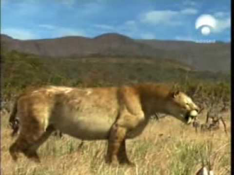 dientes de sable - Una aventura extraordinaria para volver a la vida criaturas extintas.