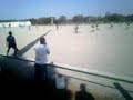 Febre Amarela - Ultras Arraiolos