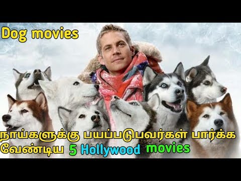Hollywood best dog related comedy movies | tamil tubelight mind |