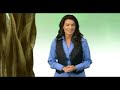 Agel UMI - www.ageltotal.com
