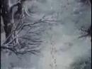 Trust - Rurouni Kenshin - AMV