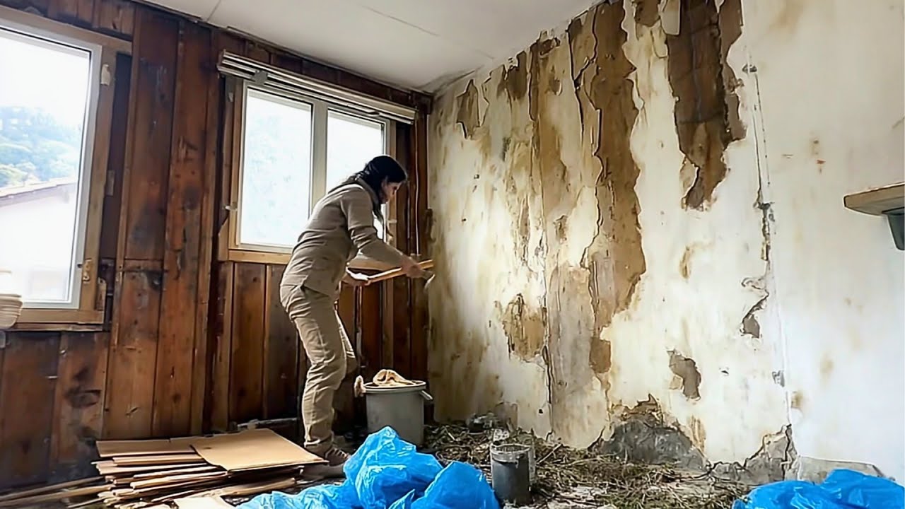 Young Woman Restores 45-YEAR-OLD Mountain Hut Back to New | Start to Finish by @moricon_diy