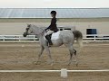 Intro dressage Intro dressage