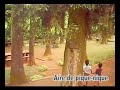 Les Makes saint Louis Ile de la R�union