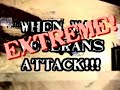 Thumbnail #1