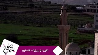 حلوة يا دنيا - تقرير عن بير زيت - فلسطين حلوة يا دنيا - تقرير عن بير زيت - فلسطين