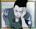 ShikaTema - Quo vadis ShikaTema - Quo vadis