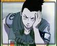 ShikaTema - Quo vadis