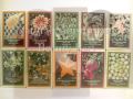 Natural Beauty Products by Jinsa Fragrances / W.O.W.