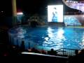 videos de Show da Shamu - 24.dez.08