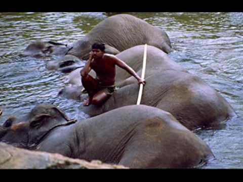 Sri Laka - lyric: Sunil Sarath Perera Created by : Aruna Abeywickrama.