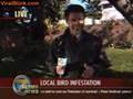 2 birds 1 news guy mouth