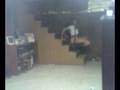 videos de The New me! @ 17