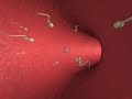 REPRODUCTION Pregnancy and Reproduction