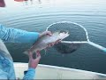 Fly Fishing Frenzy | Ashton Reservior, Idaho