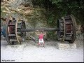 hilarious illusions hilarious illusions