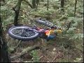 Shropshire downhill biking (Eastridge) Shropshire downhill biking (Eastridge)