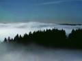 Schwarzwald