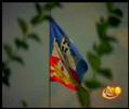 BELGRADE -SERBIA