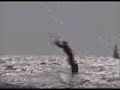Kitesurf Movie - Roei Feinberg by ZION PRODUCTIONZ Kitesurf Movie - Roei Feinberg by ZION PRODUCTIONZ
