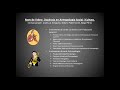 movie.flv