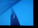 caverns of hope boss/ glitch part 2 caverns of hope boss/ glitch part 2
