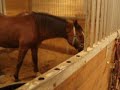 The Barn