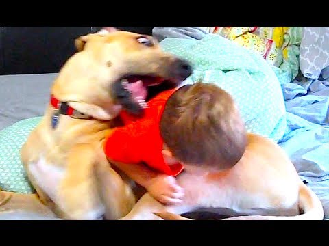 shaytards - Brand new shirts!!! http://www.rodeoarcade.com/collections/shay-carl SHAYBEARD the CARTOON is coming TOMORROW May 18th!!! Subscribe to Cartoonium for the bes...