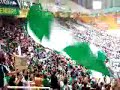 pao horto magiko   panathinaikos fans on basketball