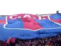 NOSE COMO VOY NOSE COMO VENGO! TIGRE CAPO