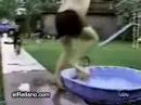 caidas espectaculares