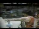 Lito Lapid Action King