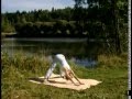 Просмотр видео