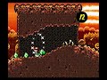 Yoshi\